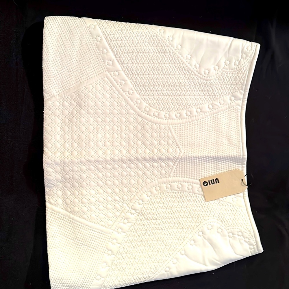 NWT and Bag White Mini Faux Leather Cotton Poly Blend Skirt Small Very Detailed